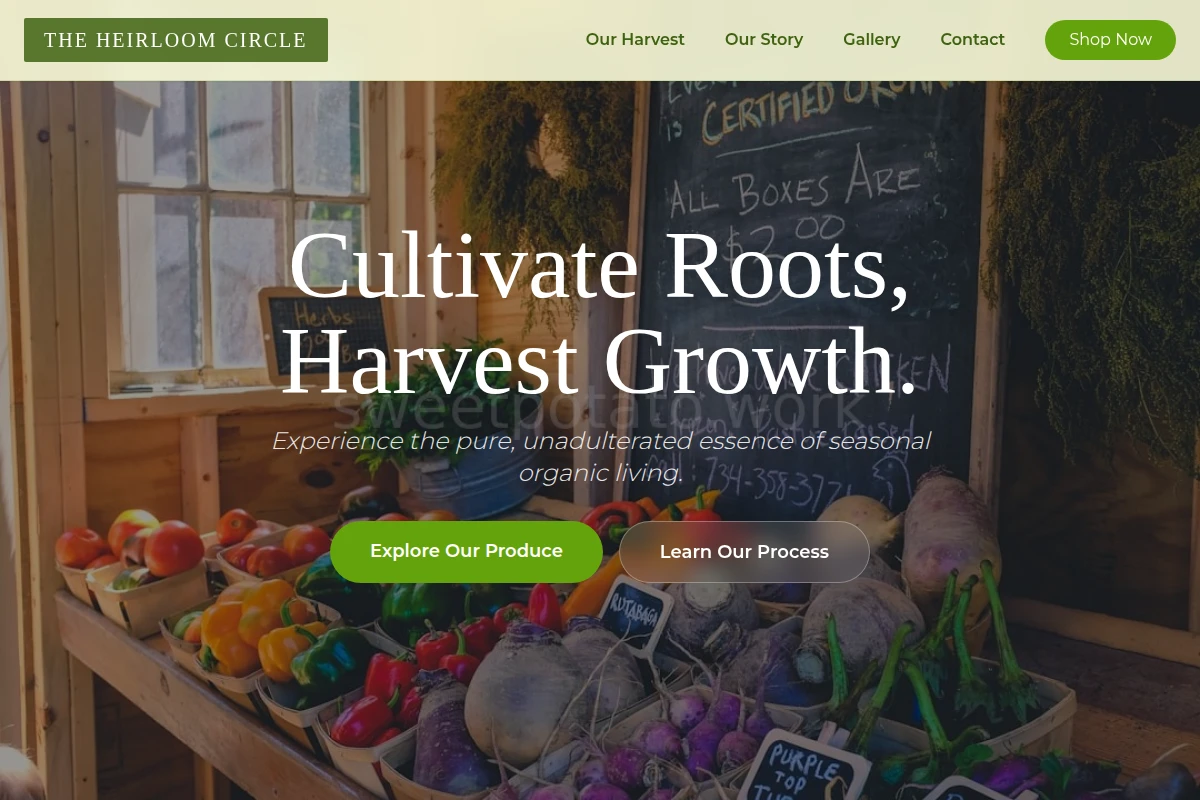 Root Organic Food