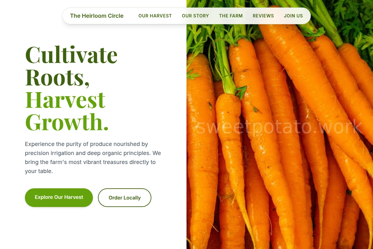 Irrigation Organic Food